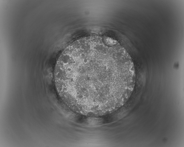 X0000111530707200908251202