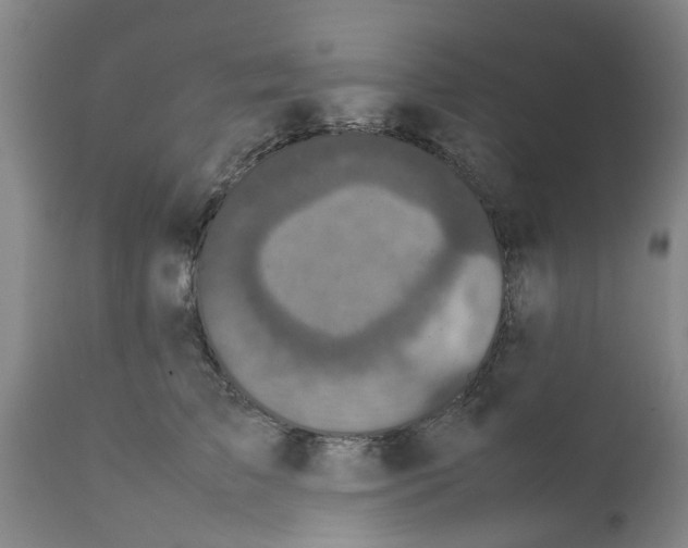 X0000111530709200908251202