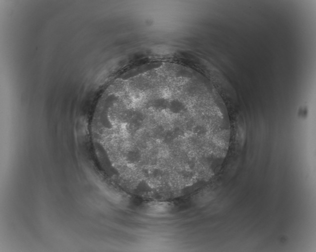 X0000111530711200908251202