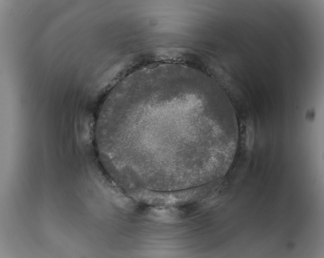 X0000111530712200908251202