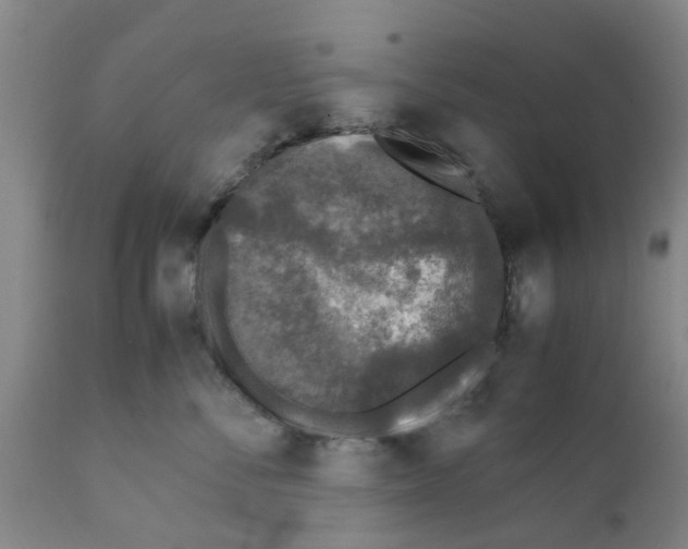 X0000111530716200908251202