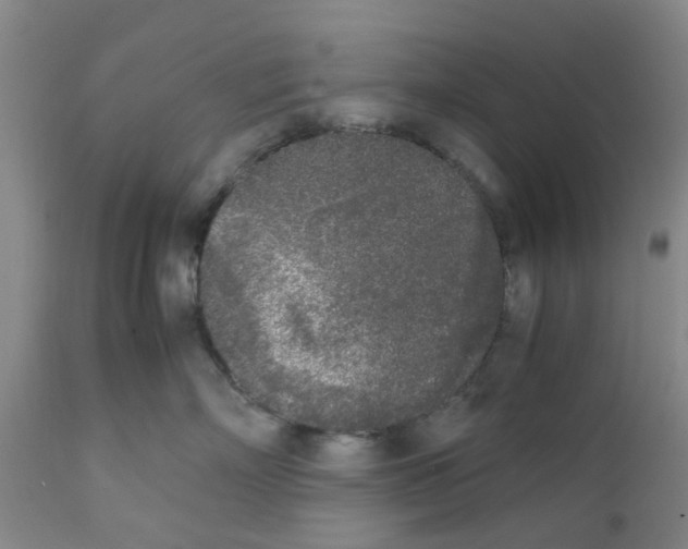 X0000111530718200908251202