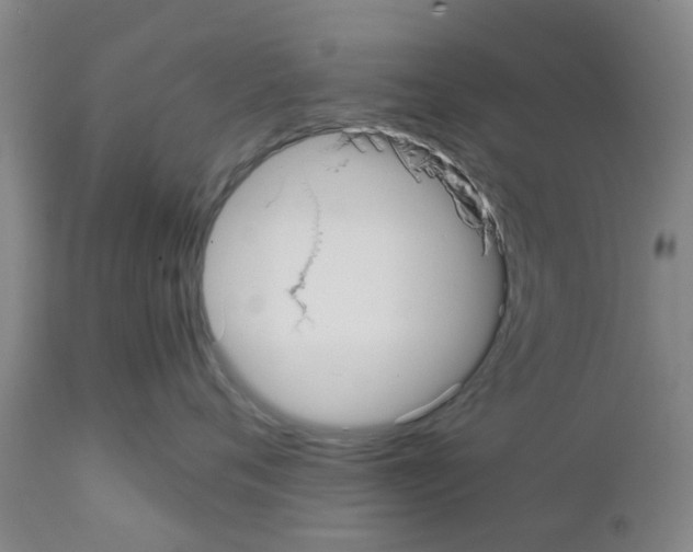 X0000111530720200908251202