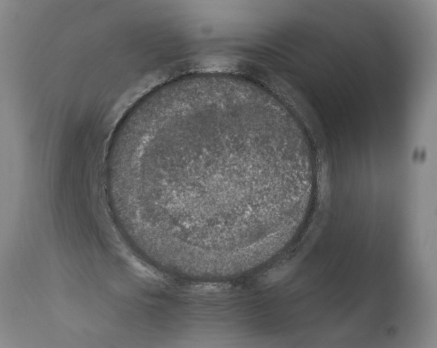 X0000111530721200908251201