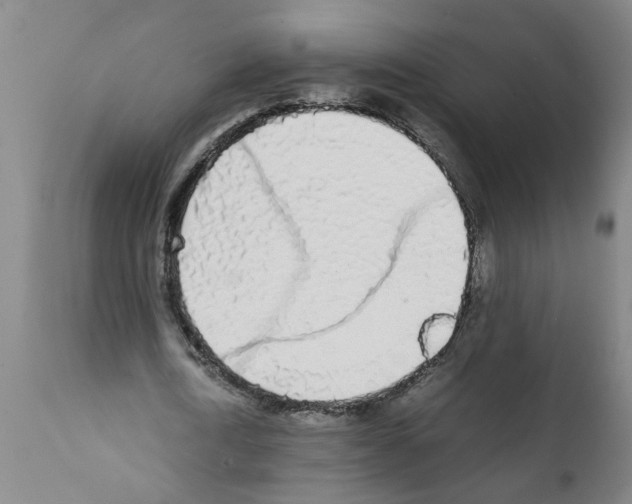 X0000111530722200908251201