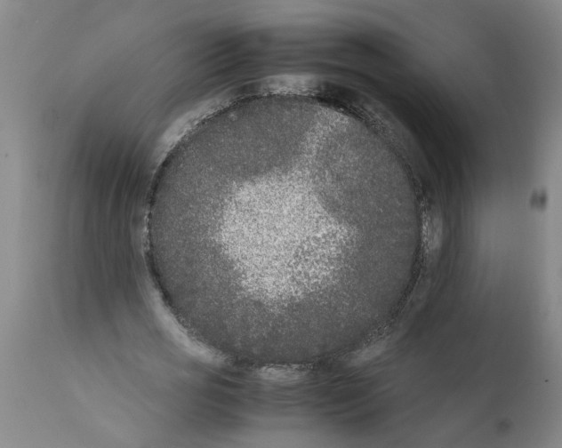 X0000111530725200908251201