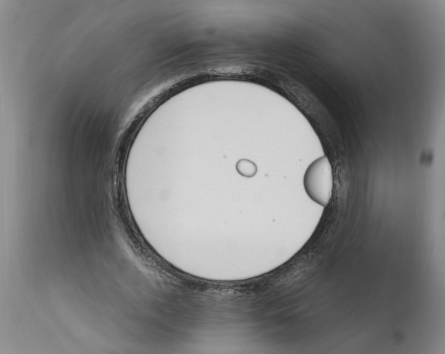 X0000111530728200908251201