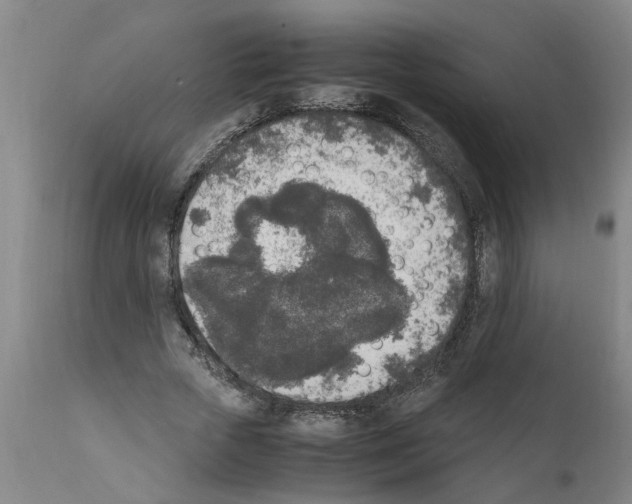 X0000111530729200908251201