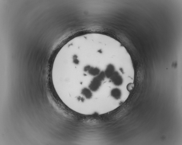 X0000111530730200908251201