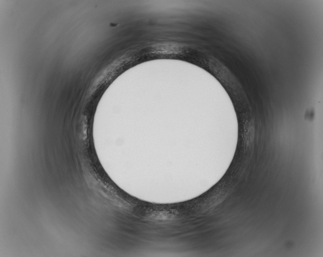 X0000111530731200908251201