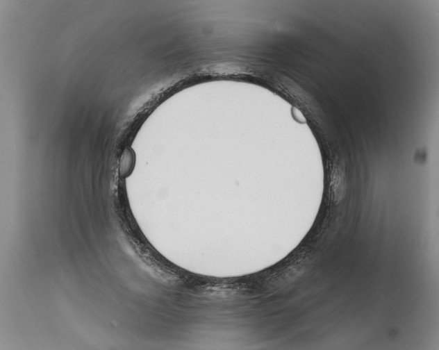 X0000111530732200908251201