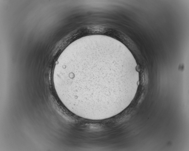 X0000111530733200908251201