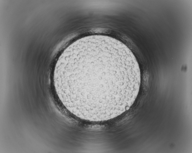 X0000111530734200908251201