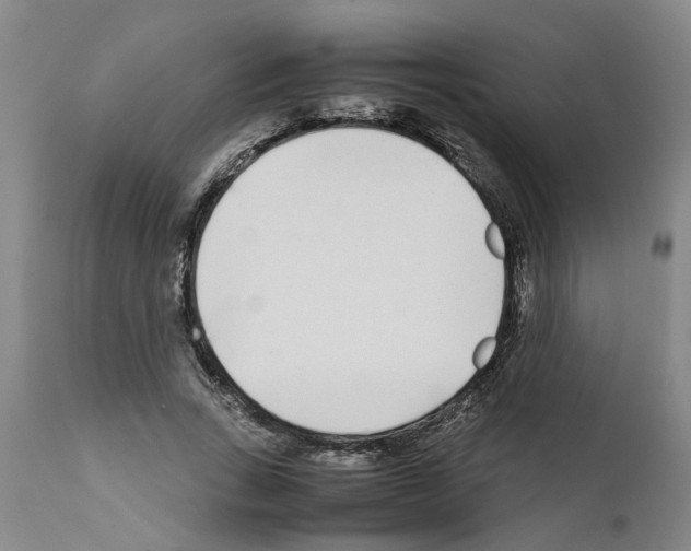 X0000111530735200908251201