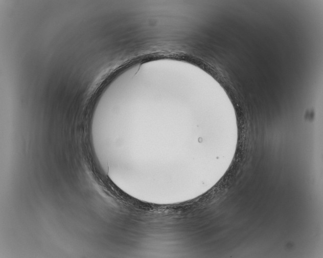 X0000111530736200908251201