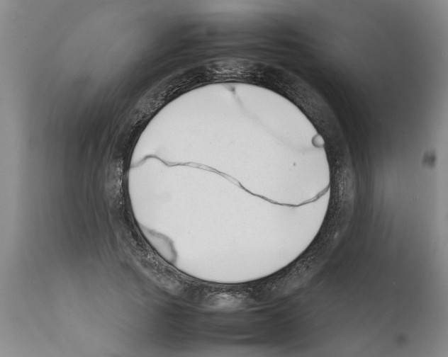 X0000111530737200908251201