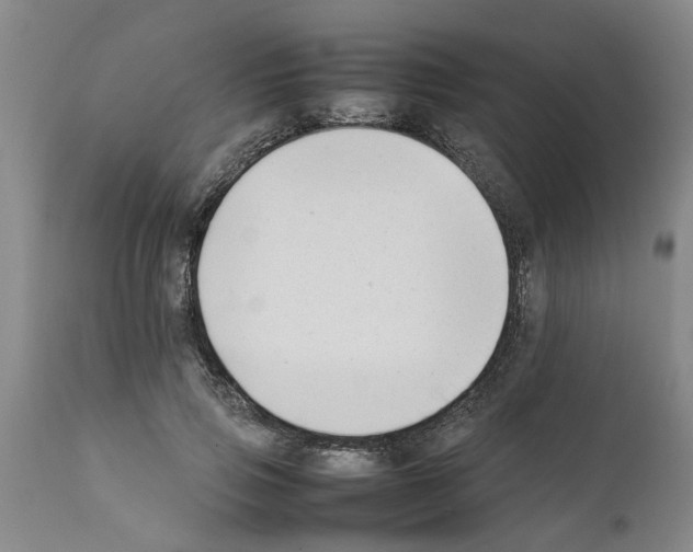 X0000111530741200908251201