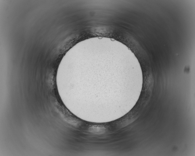 X0000111530749200908251202