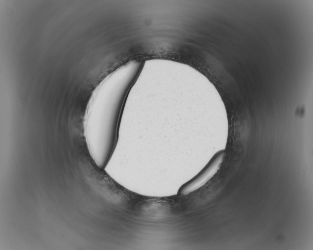 X0000111530750200908251202