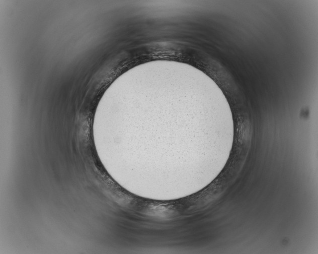 X0000111530753200908251202