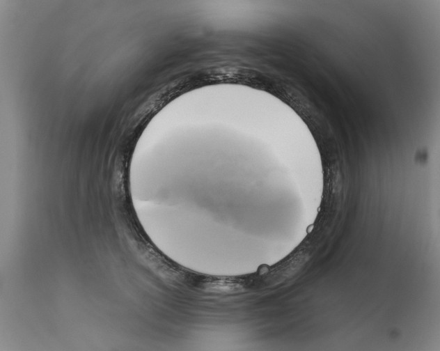 X0000111530754200908251202