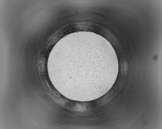 X0000111530757200908251202