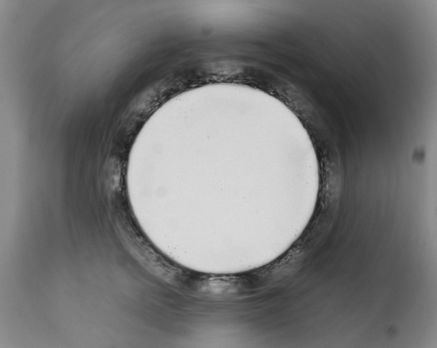 X0000111530758200908251202