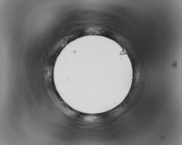 X0000111530759200908251202