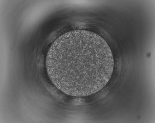 X0000111530760200908251202