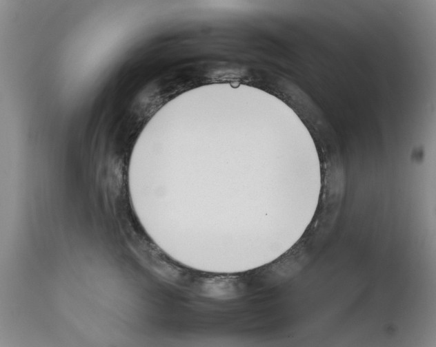 X0000111530761200908251202