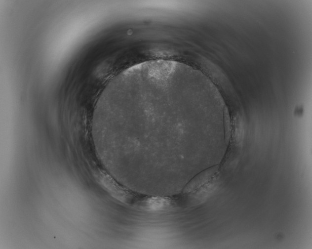 X0000111530762200908251202