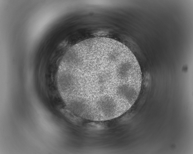 X0000111530763200908251202