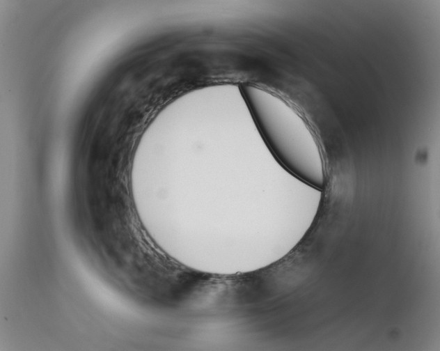 X0000111530764200908251202