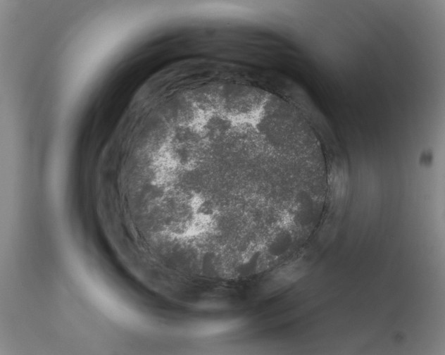 X0000111530765200908251202