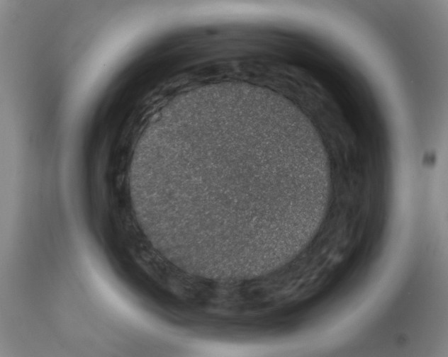 X0000111530766200908251202