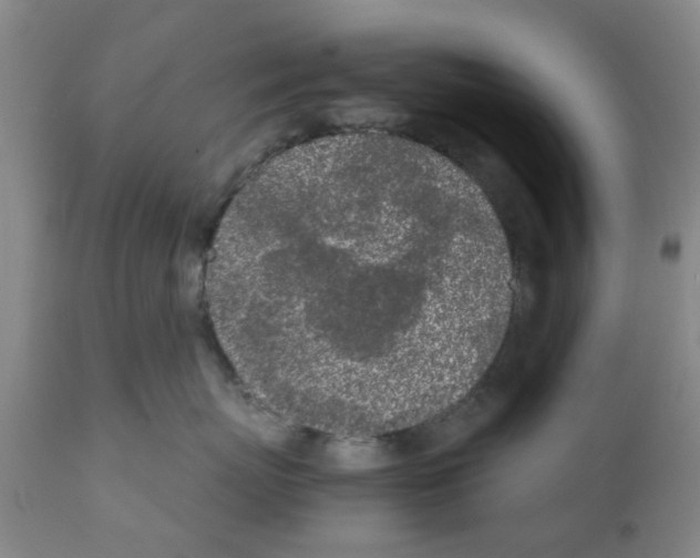 X0000111530767200908251202