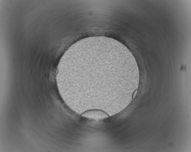 X0000111530768200908251202