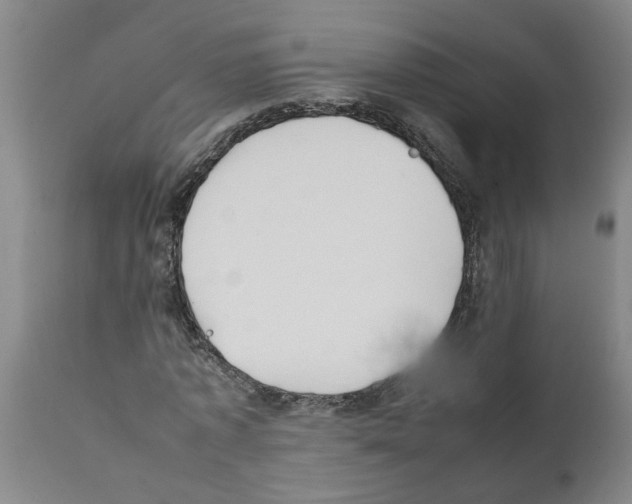 X0000111530773200908251201