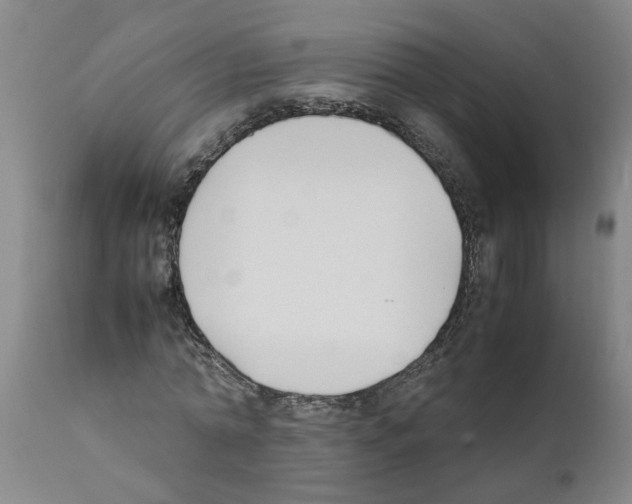 X0000111530774200908251201