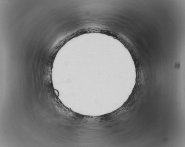 X0000111530775200908251201