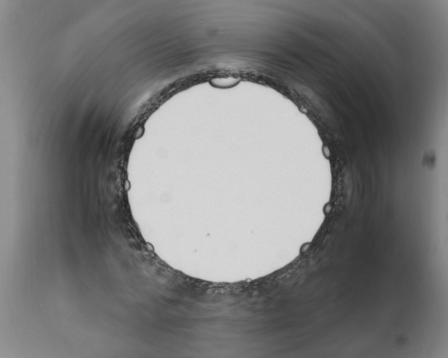 X0000111530776200908251201