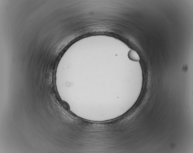 X0000111530777200908251201