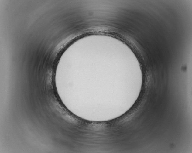 X0000111530778200908251201