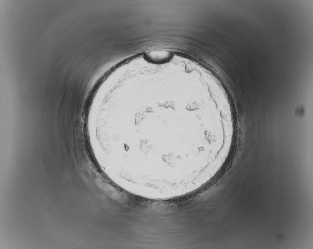 X0000111530779200908251201