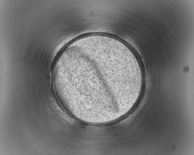 X0000111530781200908251201