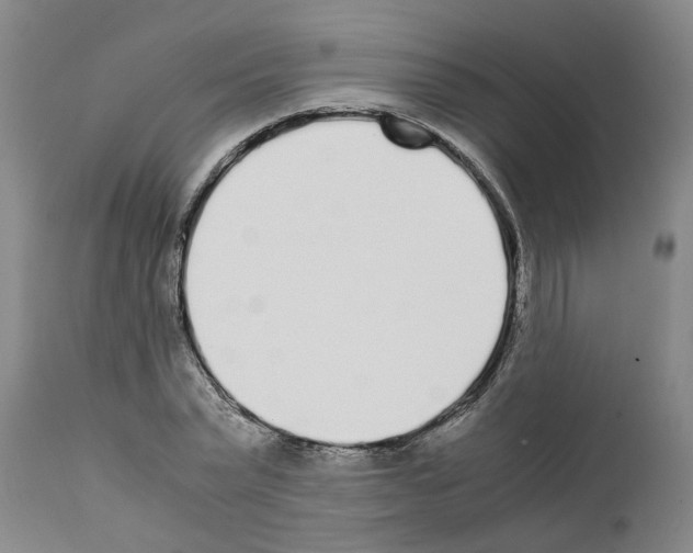 X0000111530783200908251201