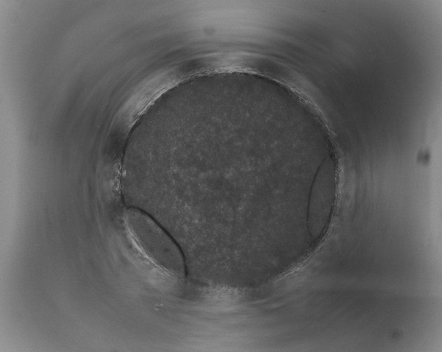 X0000111530785200908251201