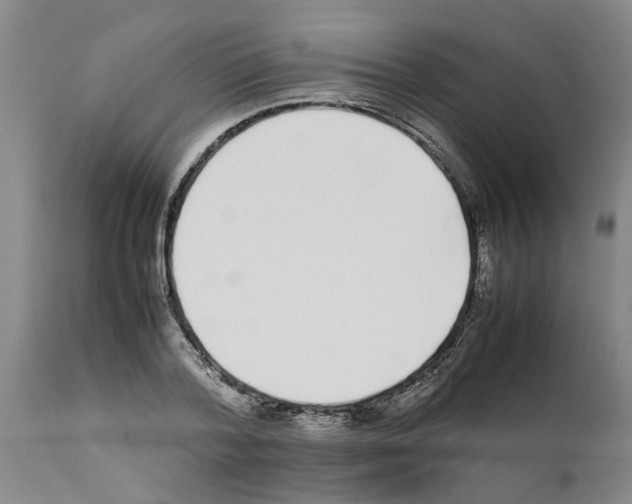 X0000111530788200908251201