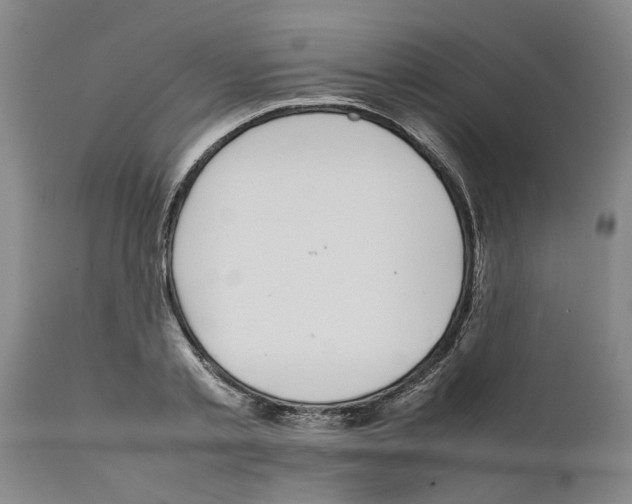 X0000111530789200908251201