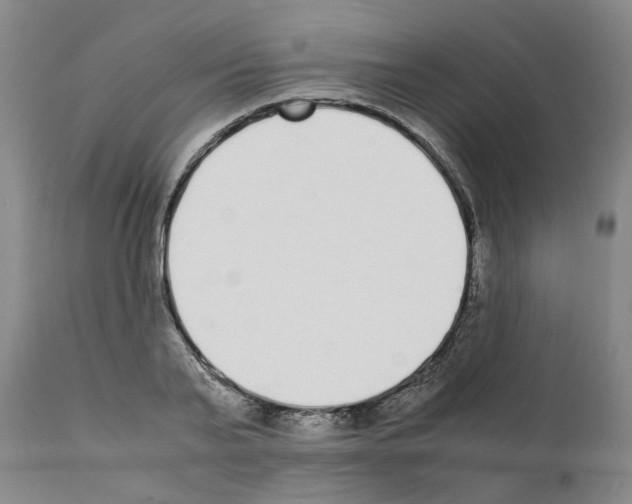 X0000111530791200908251201